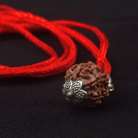 7 Mukhi Rudraksha
