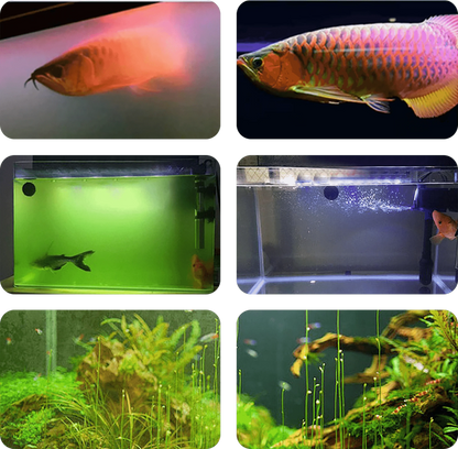 Powerful Aquarium Water Purification Tablet