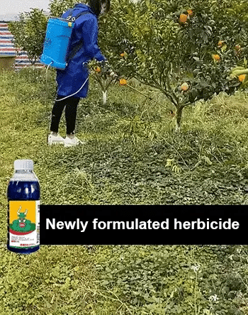 High Concentration Glufosinate Herbicide (Buy 1 Get 1 Free)all type grass