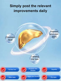 Liver Protection Lingzhi Turmeric Buddha's Hand Patch (PACK OF 20)