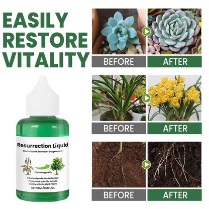 PlantVitaal™ – Revive your plants with Resurrection Liquid! | Buy 1+2 FREE