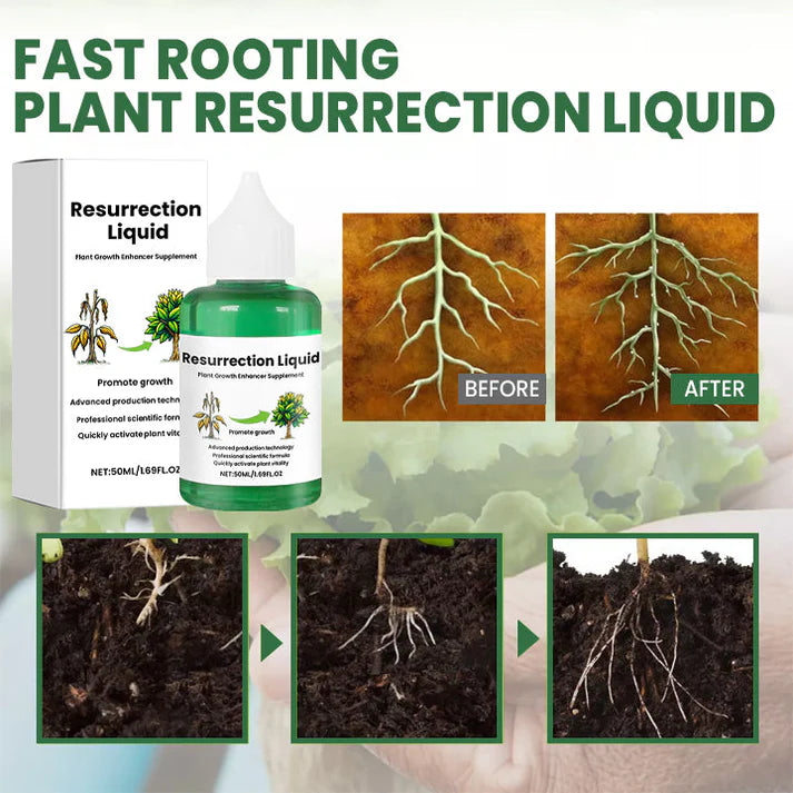 PlantVitaal™ – Revive your plants with Resurrection Liquid! | Buy 1+2 FREE